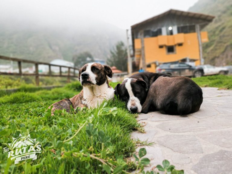 baños-termales-de-collpa