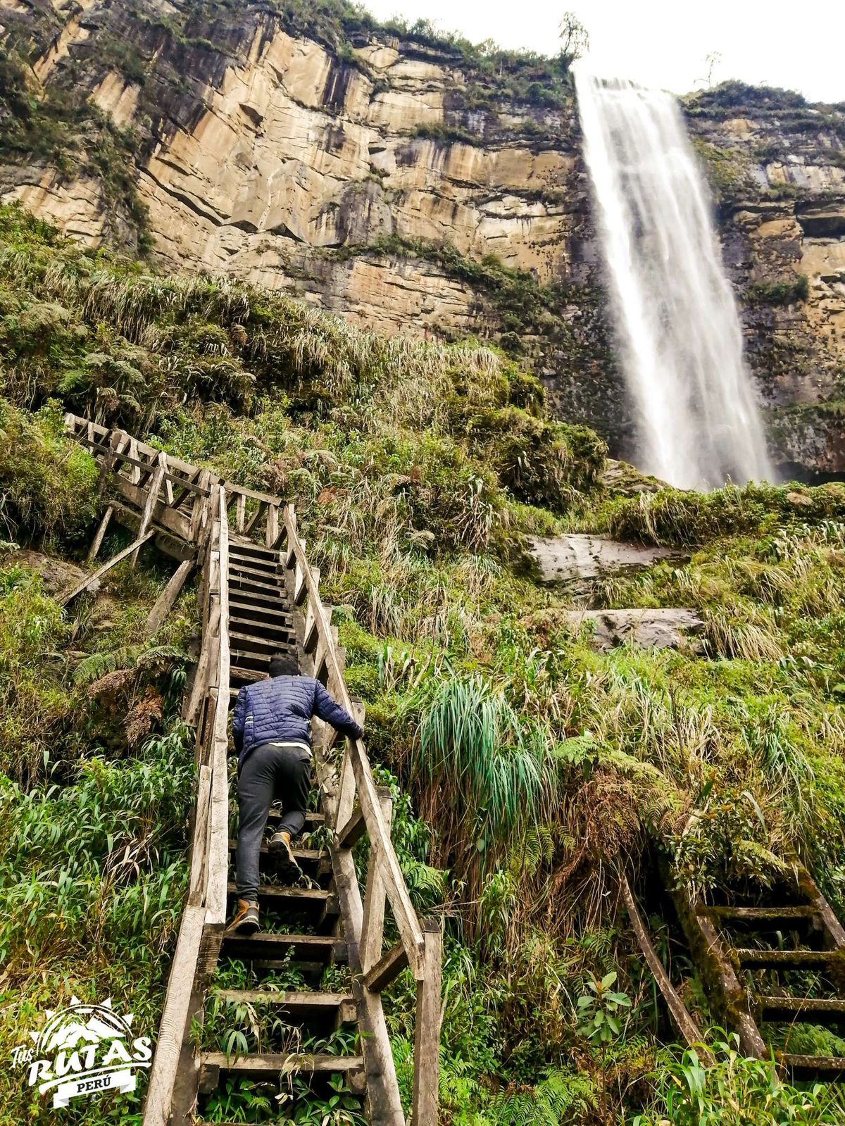 Paisajes del abundante bosque de neblina en el camino a Gocta